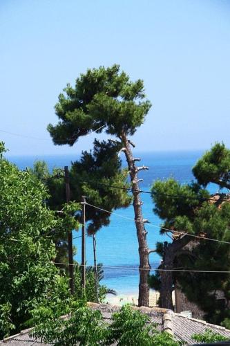  Alexander Apartments in Skala