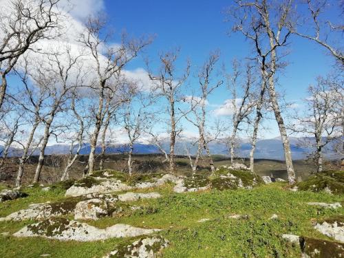 Casa Rural La Molina 4*