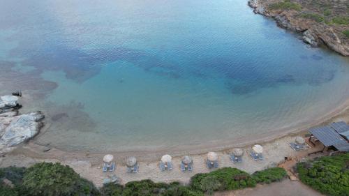 Elpida - image 9
