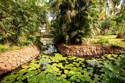 Coconut Creek Resort - Dabolim Airport