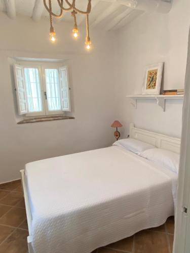 Casa Ofelia - Apartment - Guadix