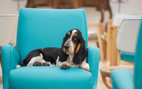 Hotel Conca Park - image 9