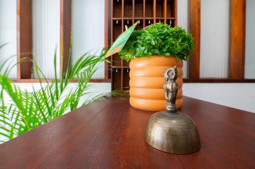 Hotel Terra Linda in เวียนา โด คาสเตโล