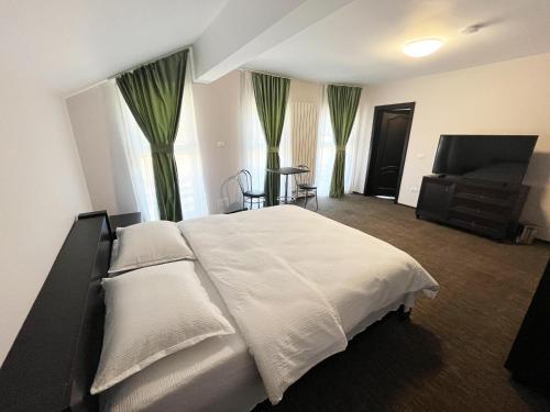 PENSIUNEA DIANA SKI in Borsa