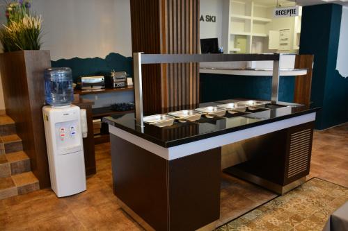 PENSIUNEA DIANA SKI in Borsa