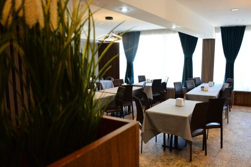 PENSIUNEA DIANA SKI in Borsa