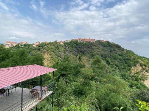 A környék, Lia's Guest House in Signali