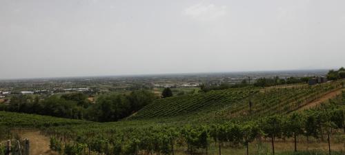 TERRAZZA SAN VETTORE