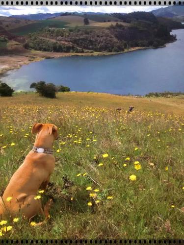 Cabana Turistica Agrolago in Aquitania