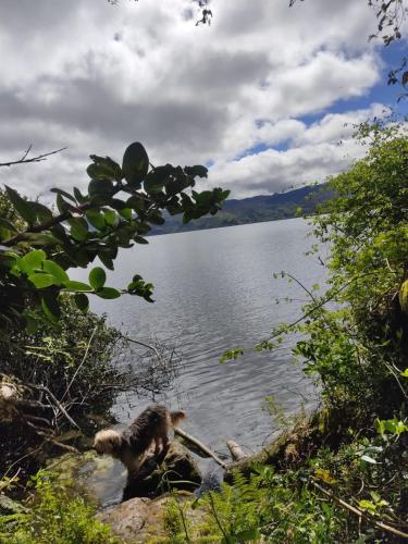 Attractions, Cabana Turistica Agrolago in Aquitania