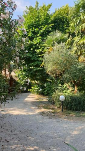  VillaLuigia - Oasi le Palme in Padua
