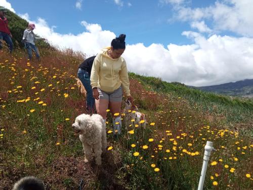 Cabana Turistica Agrolago in Aquitania