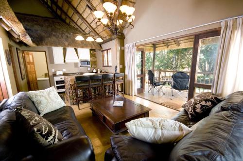 Caracal Lodge in Houtboschoek