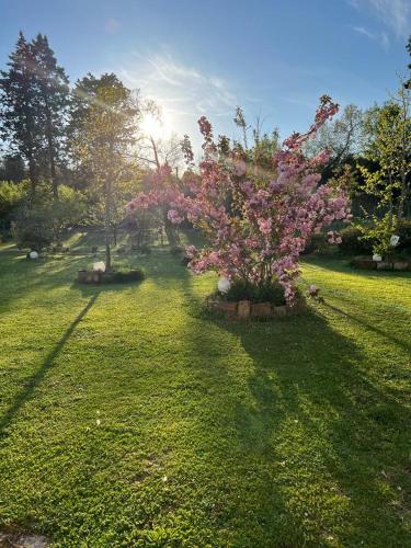 La Casa Dei Fiori