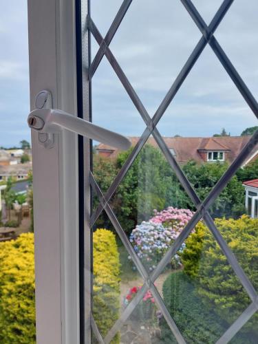 Single Room with Garden View