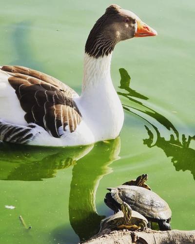  Tipi Rural in La Secuita