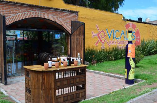Vicalis Hotel, Villas y Glamping, Temascalapa