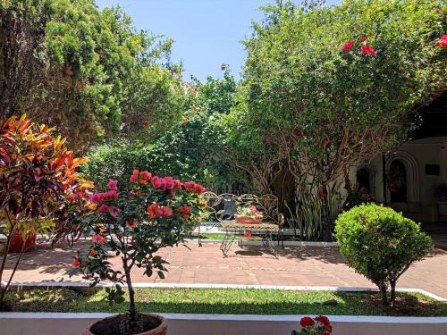 Best Location In Oaxaca - Beautiful Garden, Oaxaca City