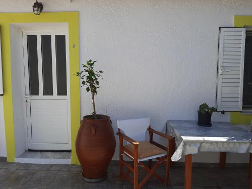 Lemon Garden 2, Karídhion