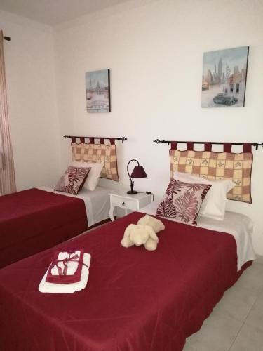 Apartment Oasis Comfort in Vale da Arrancada