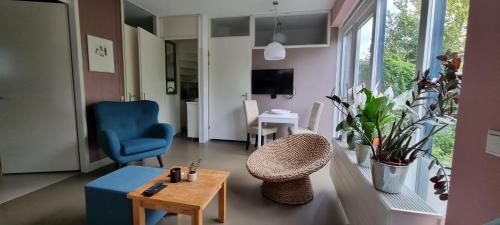 Lovely 1 bedroom apartment with garden no smoking, Amsterdam (photo 7)