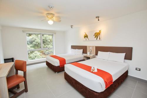 Casa Andina Standard Machu Picchu - Machu Picchu