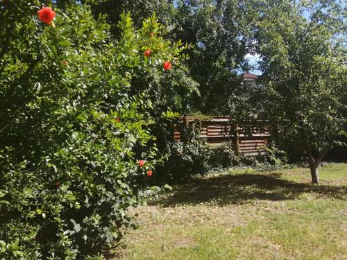 Rákos-patak Family House Garden & Free Parking, Budapeszt (zdjęcie 5)