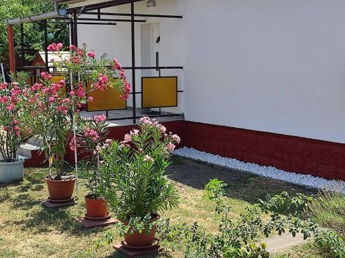Rákos-patak Family House Garden & Free Parking, Budapeszt (zdjęcie 11)