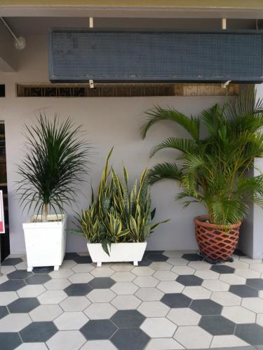 Exterior view, Lotus Inn Hotel in Malacca