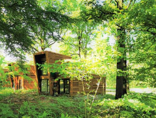 Nature Cottage Villa for 4 people 13 gîte à louer Hainaut