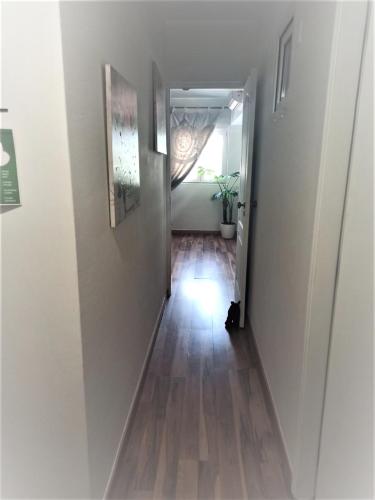 Parque das Amendoeiras - image 2