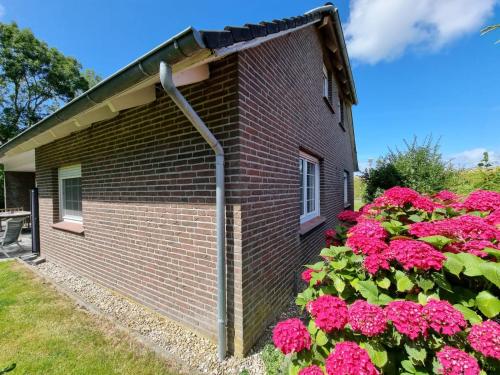 Ferienhaus Im Hasengrund - image 2