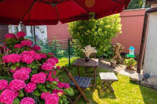 Ferienhaus Geli 5 - image 10