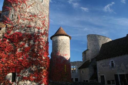 Chateau d'Ingrandes - Chambre d'hôtes - Ingrandes