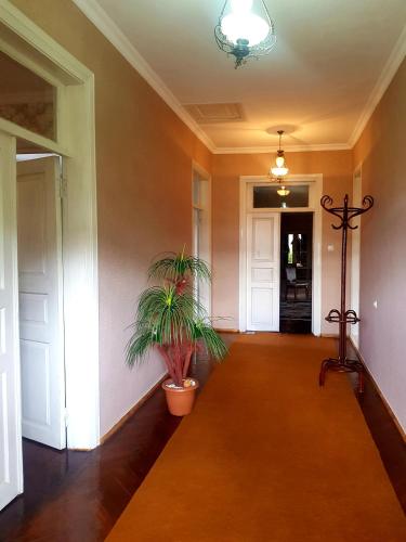Guest House Adigeni in Abastumani