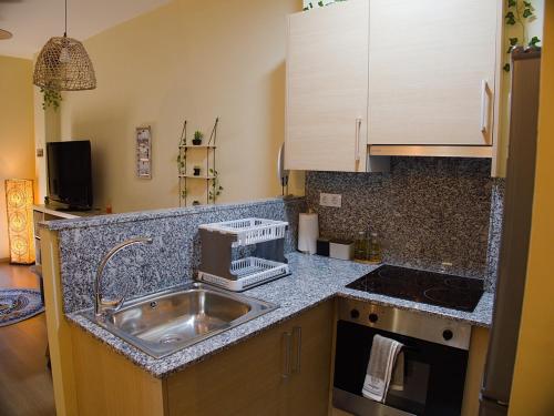 廚房, Grace, apartamento con terraza y vistas in 塔拉爾恩