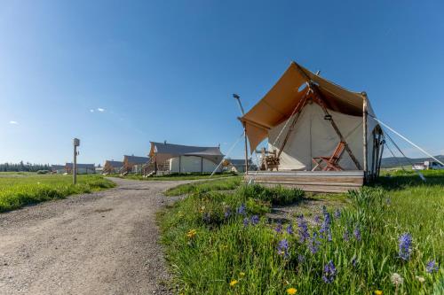 Under Canvas West Yellowstone