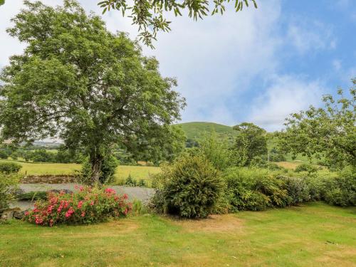 Byrdir Cottage - image 13