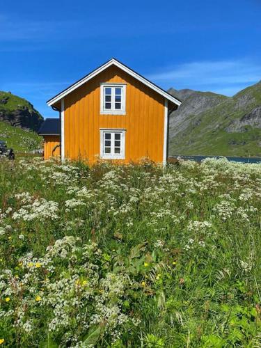 Romantic getaway cabin in Lofoten,daily boat access - Moskenes