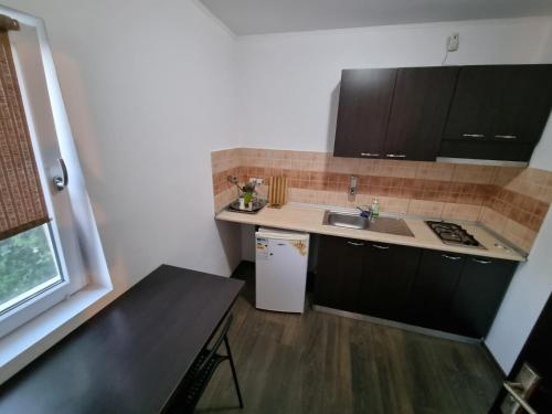 Vila Ana in Baile Govora