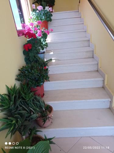 Guesthouse Fatos Biti