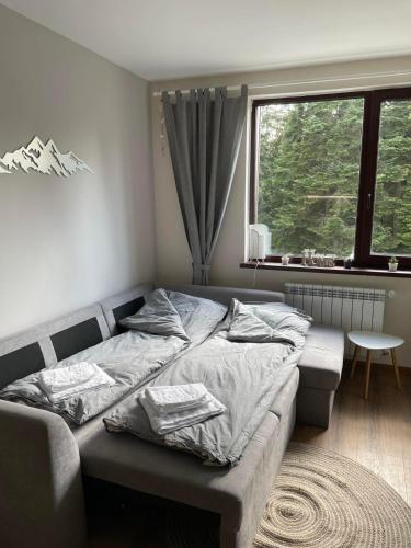 Pine Tree Apartment / Borovets Gardens, Borovec (fotografie 9)