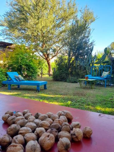 Cabaña Privada - Monte y Lucero (Cabana Privada - Monte y Lucero) in San Fernando Del Valle De Catamarca