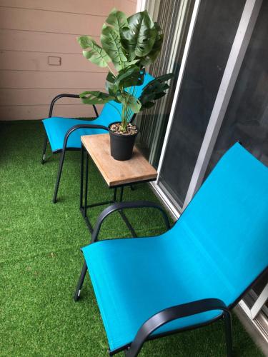 Short term stay apartment near Medical Center in Houston, USA
