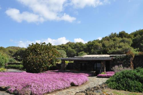 Relais Euterpini - image 4