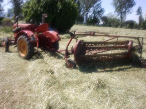 Agriturismo Corte Gaia