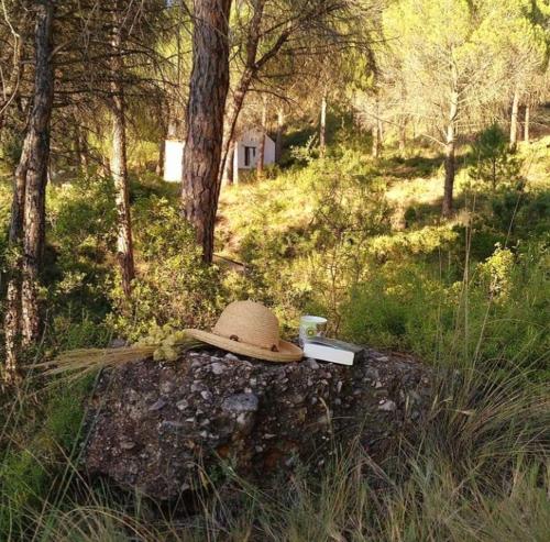 Casitas La Purísima Monte gîte à louer Rebollar