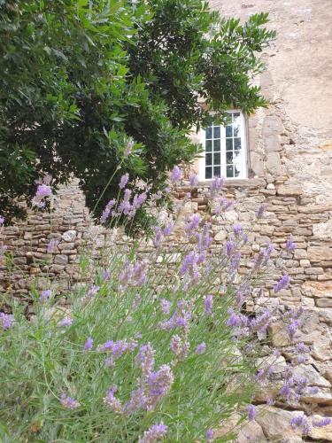 Partie de Château du XI ieme à Canet d'Aude