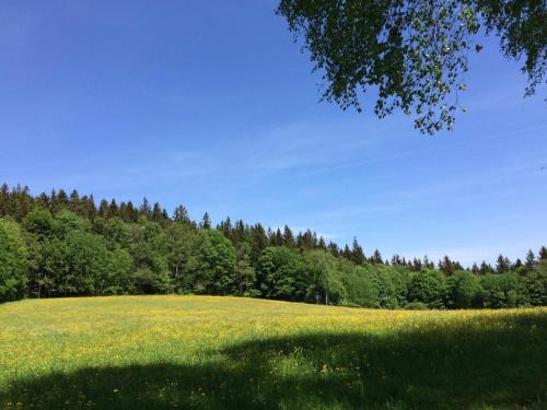 Ferienwohnung Gut Eschlsaign