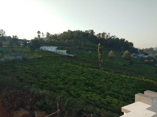 Ooty hills inn